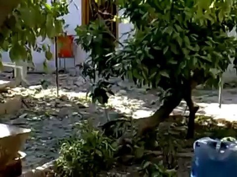 Syria فري برس حماه المحتلة كفرزيتا جراء القصف الصاروخي ليلاً على المدينة 7 6 2012