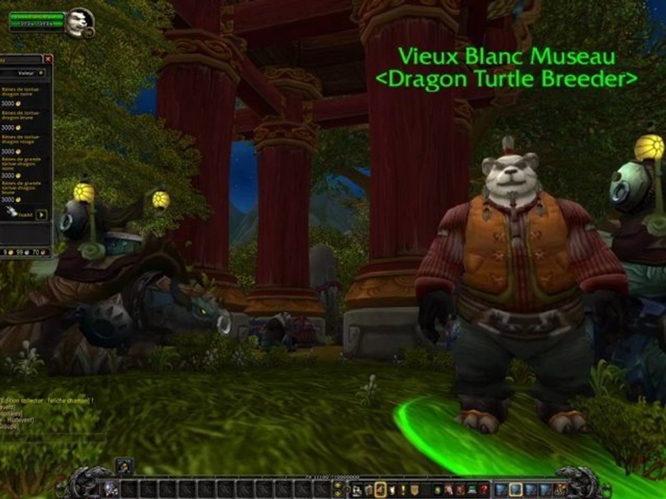 Vendeur de tortues-dragons à Hurlevent - Mists of Pandaria