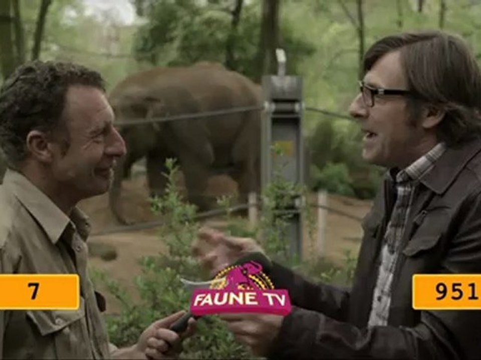 Kai-Mook déménage: "interview" d'un soigneur des éléphants