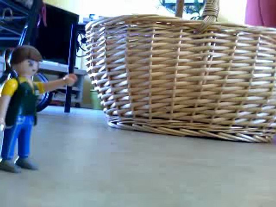 webcam_1339147364269