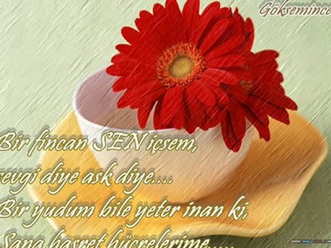 unutmayacağım ibrahim erkal