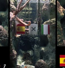 Espagne ou Italie ? Qui donne-t-il gagnant ?