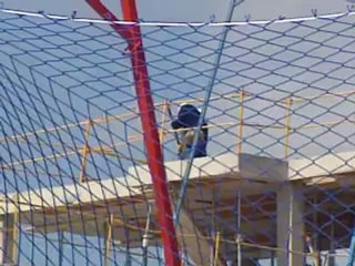 Noticias en Libertad 15:00 horas - 26/02/09