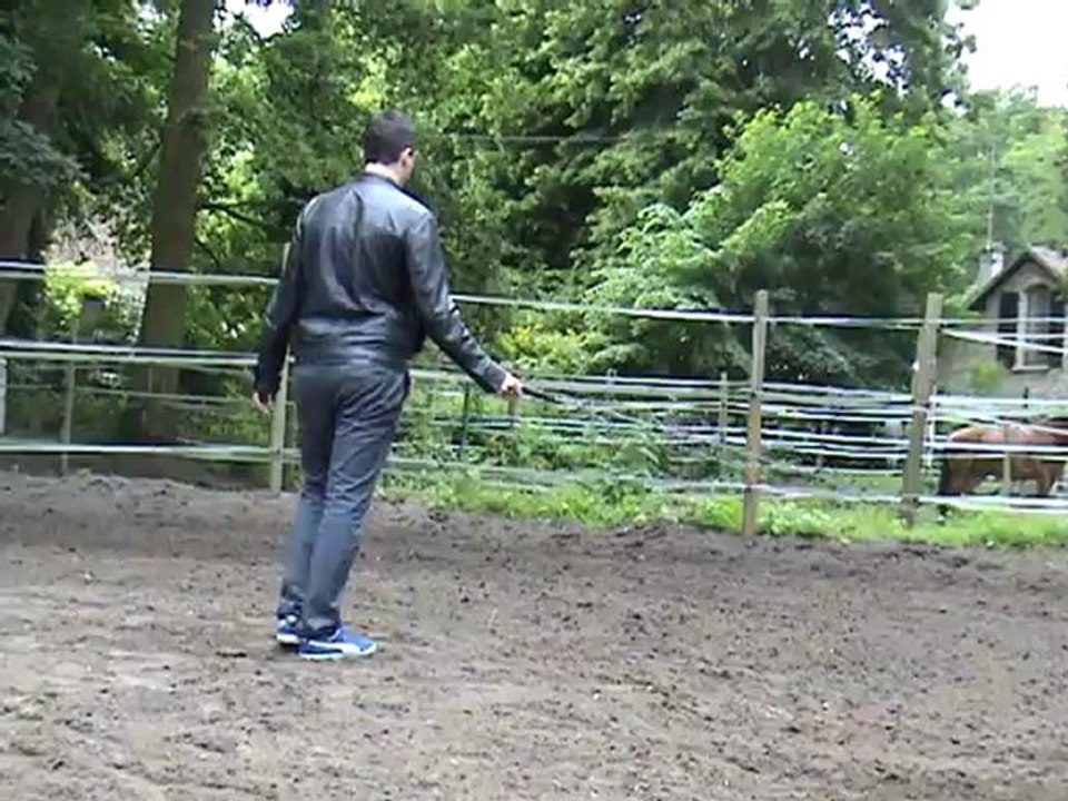 Formation au leadership >> formation-leadership.com