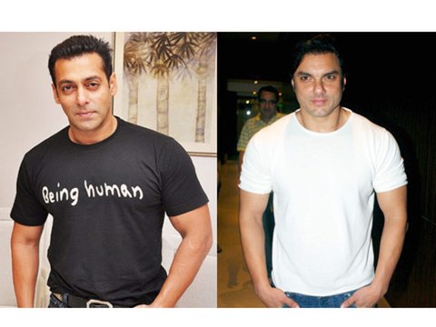 Salman Khan Chooses Sohail Khan's Sher Khan Over Other Films - Bollywood News