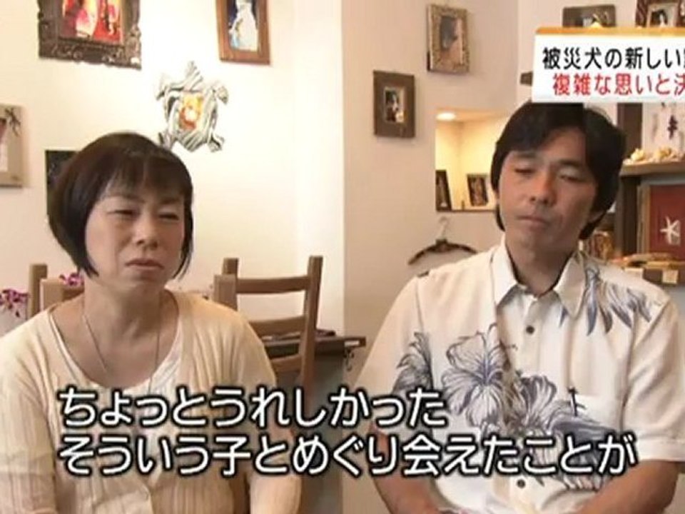 20120608　被災ペット「再会と新生活」　能勢町の施設