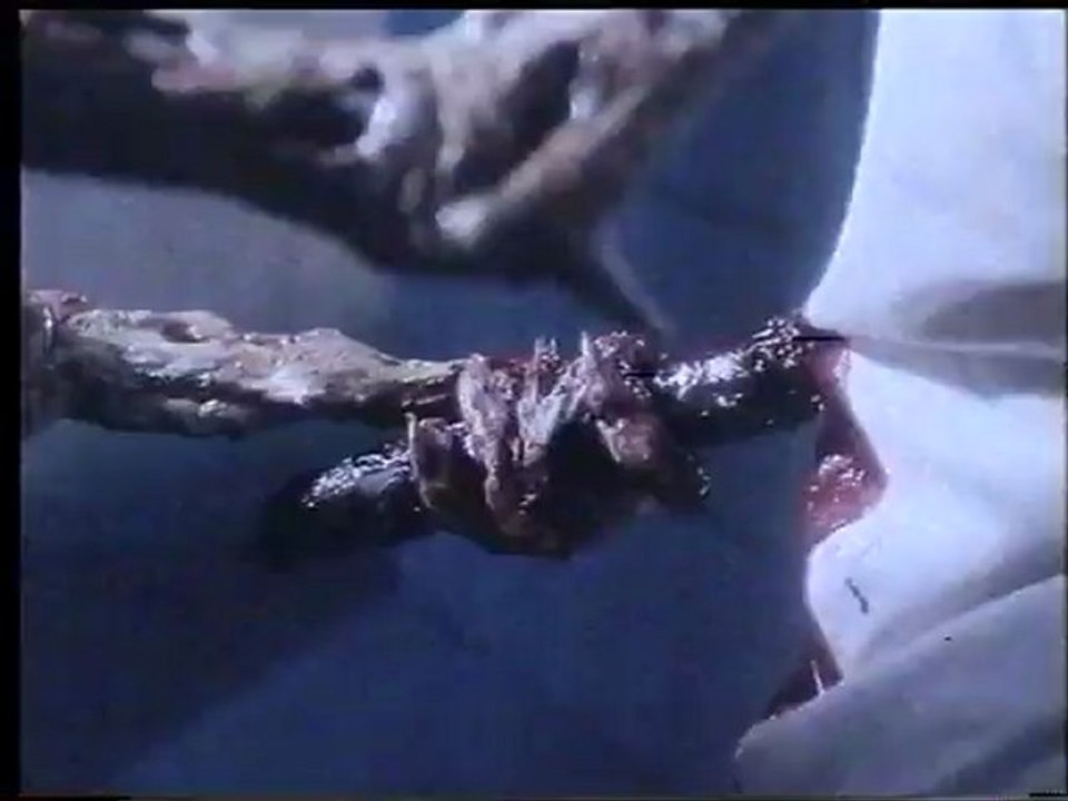 Shadowzone (1990) Something wrong..