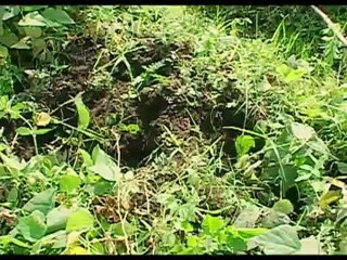 "el día después del Réquiem" II. RDC República Democrática del Congo