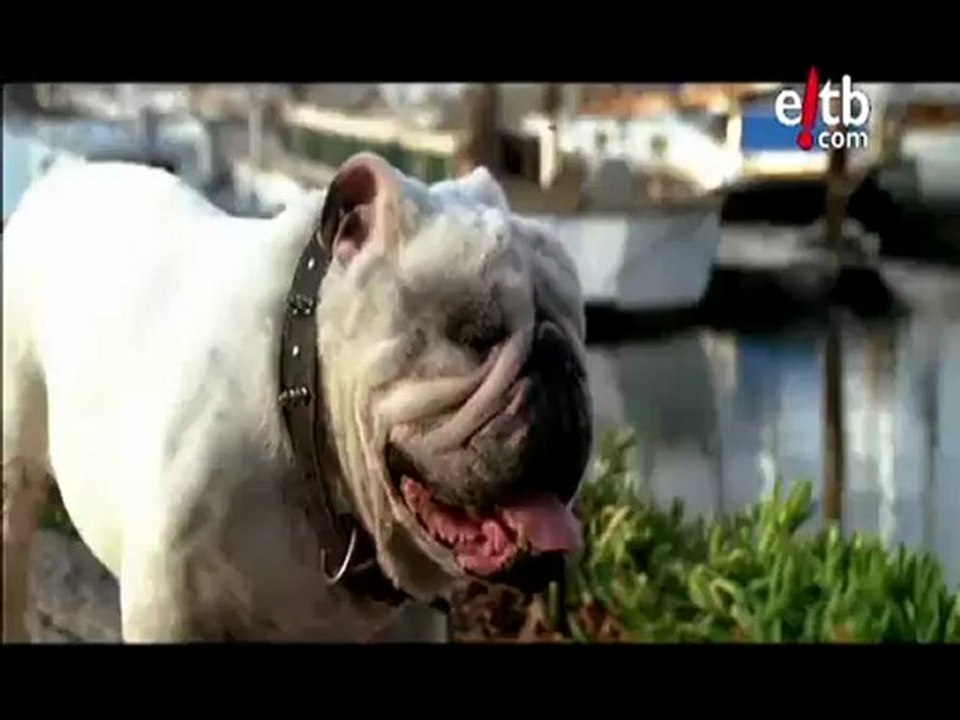 Gazapos de Hollywood en La Noche De...