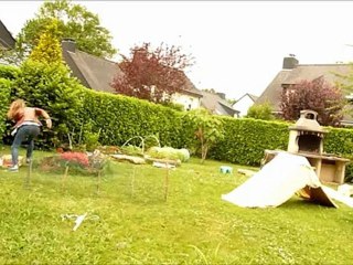 Alou en agility le 9 jouin 2012