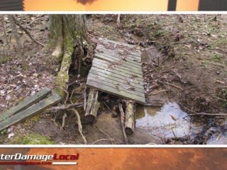 Everett Water Damage Company