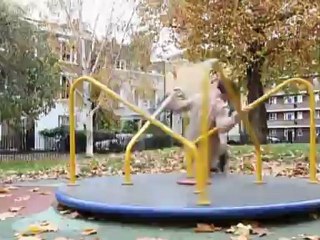 Big Bang playing in the park (2)