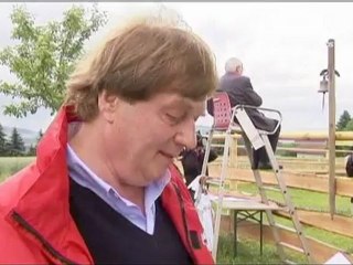 Pronostici: dopo il polpo Paul tocca alla mucca Yvonne