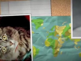 Doggie Day Spa & Day Wear (615) 663-5420