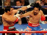 PPV Live : Pacquiao vs Bradley WBO Welterweight Boxing Coverage