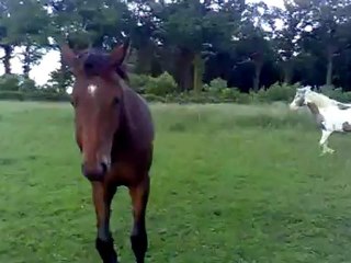 Bébou 14 mois... Juste splendide, et toujours aussi sympa...