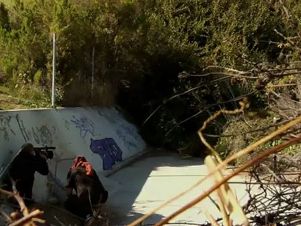 Rooftop Renegades