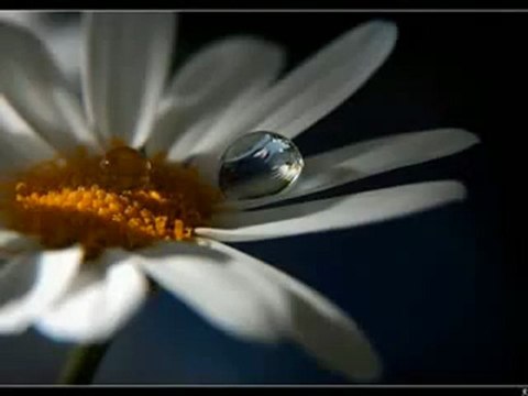 CH TVISLAMHD1 Very beautiful reading of Al-Furqan - Excellence Sheikh Meshary AFASI