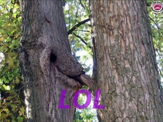 GASO BOY  WOLAY SA JUNE 2012 LUCIAN SOCA