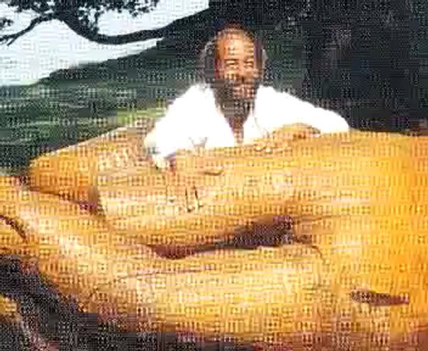 Jean Louis Gault - Autour de la voix 1