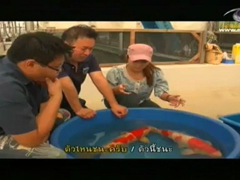 กบนอกกะลา ตอน อาหารปลาคาร์ฟ(2) วันที่ 8 มิถุนายน 2555