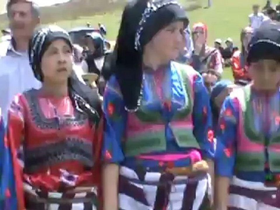 video_4