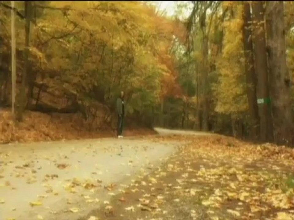 Autumn of the living Dead