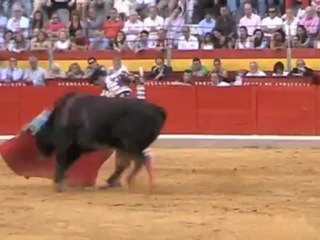 TRIUNFO DE MANZANARES Y EL FANDI EN GRANADA