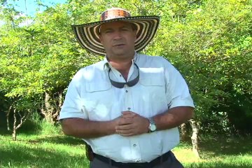 9 JUNIO 2012 ica algodon y arroz web