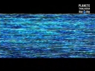 Documentaire - Planete Thalassa - Mega-Tsunami , La Vague Fatale