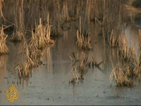 Pakistan flood victims still in camps