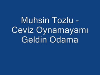 Muhsin Tozlu - Ceviz Oynamayamı  Geldin Odama - 113
