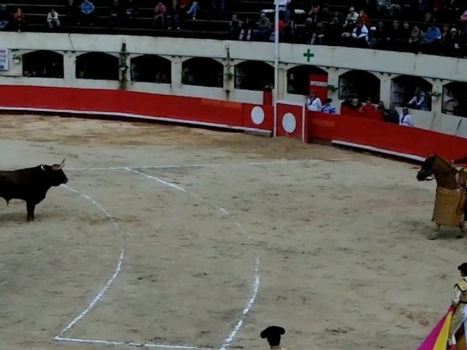 Concours de Piques Alès 2012