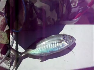 ilkerabi SÖĞÜT köyü