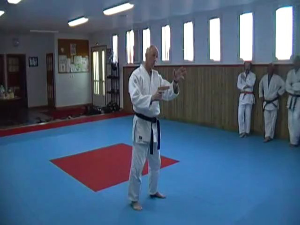 Jujitsu Rollin Philippe