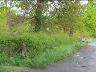 jogging au bois de Vincennes