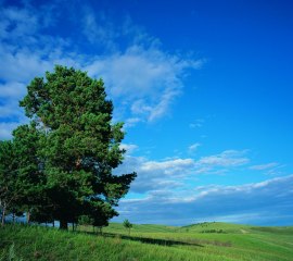 masaj salonu masoz kadıköy istanbul anadolu  masaj salonlar