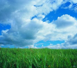 masaj salonu masoz kadıköy istanbul anadolu  masaj salonlari