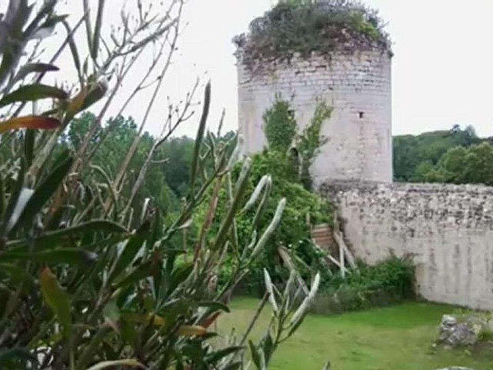 Château de coudray-salbart Échiré