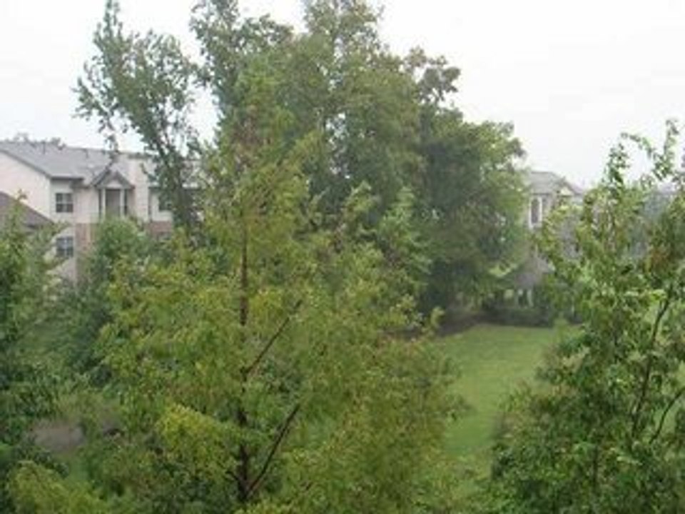 Pluie a Memphis