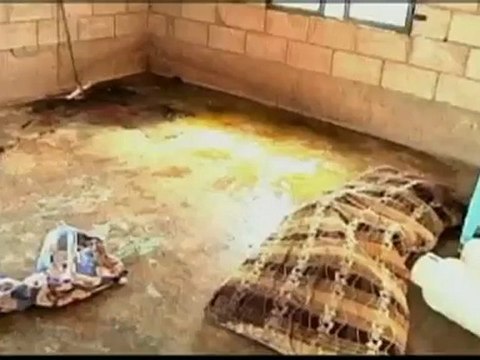 euronewsru - Сирия в Дераа жертвами обстрела стали 17 человек [H.264 360p]