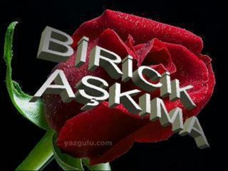 arif susam ölümsüz sevdim