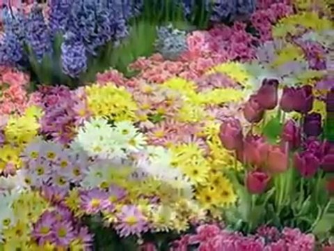 EZAN ÇİÇEKLERİ-FERUDUN TÜRKMEN