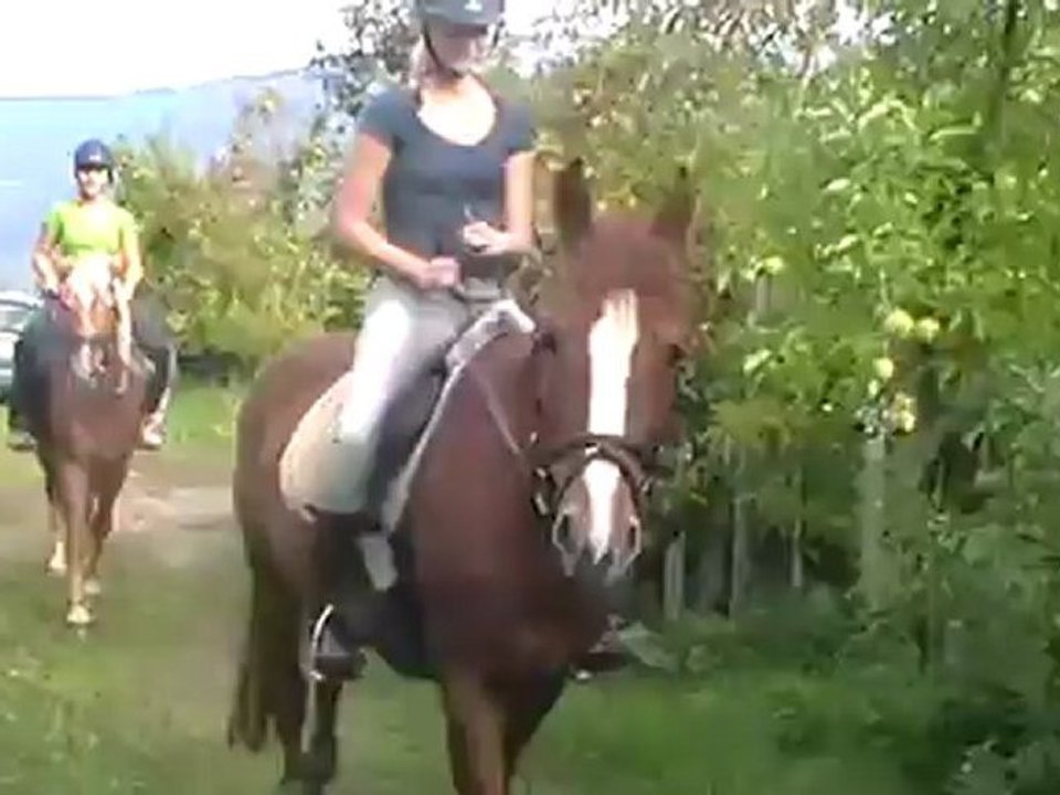 Reiterhof Vill Schlanders, Dolcevitahotel Preidlhof Naturns