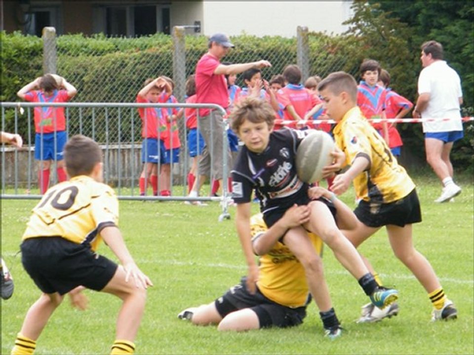 PAUPY 2012