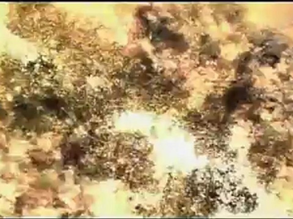 Universe Travel [HD]