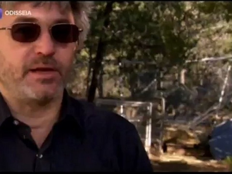 Territorio.Doninha.TvRip.Xvid.docsPT