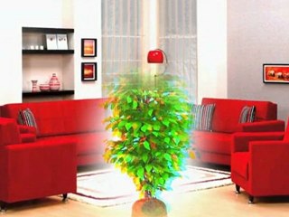 Saba Tanbur  taksimi ♫ 3D.HD.720p