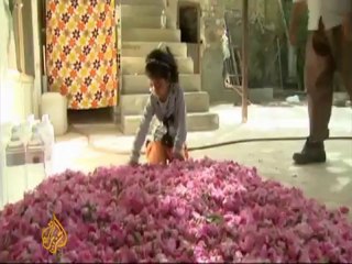 Sanctions threaten ancient tradition in Iran