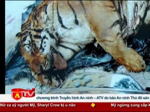 ANTÐ - Triệt phá vụ vận chuyển động vật hoang dã về Hà Nội